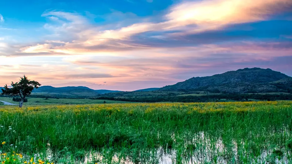 Lush green marsh at the foot of Oklahoma mountains