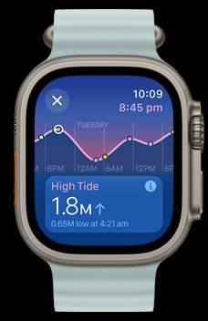 Rising, falling, high and low tides displayed on the Tides app.