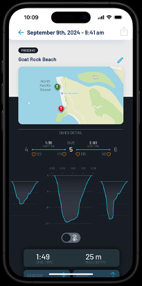 A summary of a dive profile.