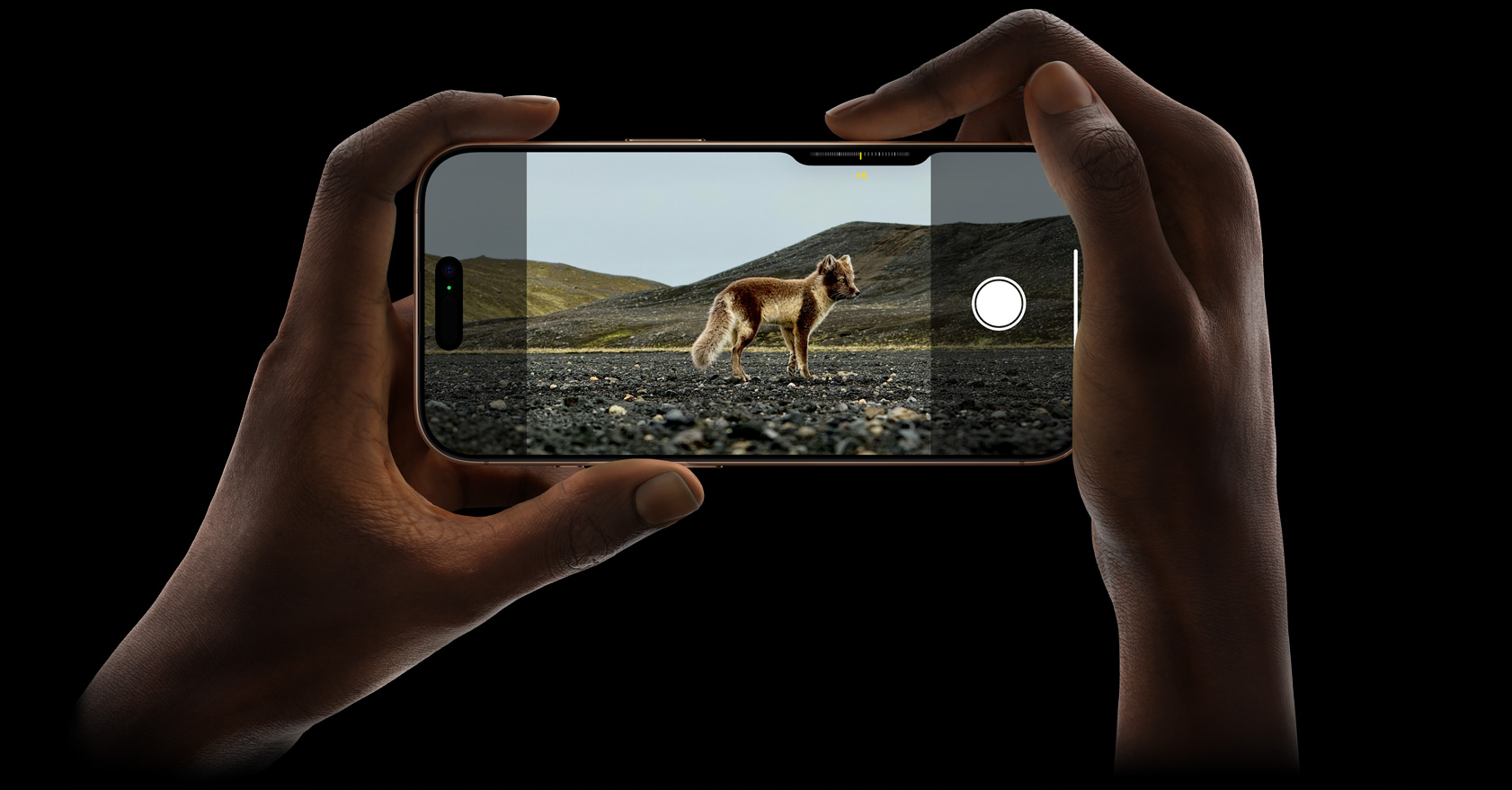 Two hands hold iPhone 16 Pro as they shoot a wildlife photo with the 5x Telephoto camera