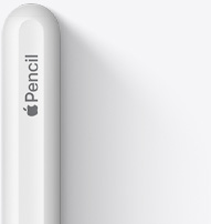 Övre delen av Apple Pencil (andra generationen) med rundad topp, Apple-logotyp och texten Pencil.