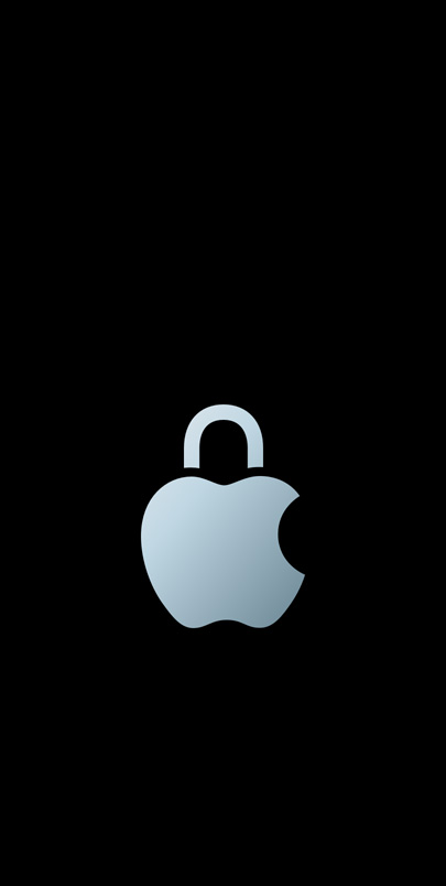 „Apple“ privatumo logotipas.