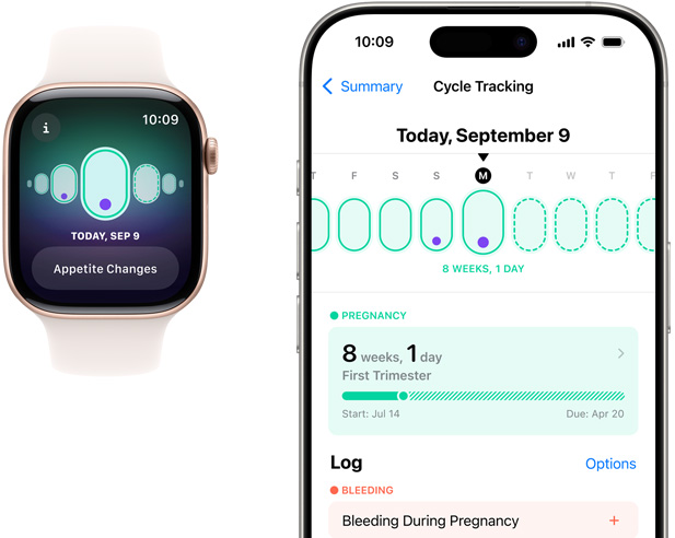 En Apple Watch-skærm, der viser graviditetsmåling med symptomet 'Appetite Changes'. En iPhone-skærm, der viser graviditetsuger og graviditetsmåling i appen Min cyklus.