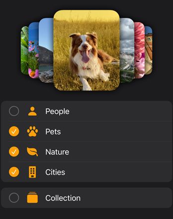 Several Apple Watch photo faces are stacked above a filter menu