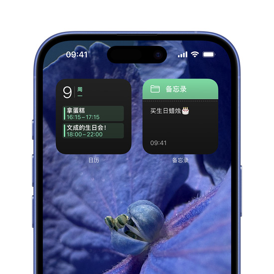 一部个性化设置的 iPhone 16，日历和备忘录位于主屏幕的顶部区域。