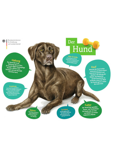 Tierfibel: Poster Hund 