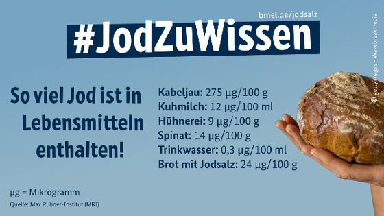 Grafik zu  So viel Jod ist in Lebensmitteln enthalten! (in Mikrogramm/100 Gramm oder 100 Milliliter) Kabeljau 275 - Kuhmilch 12 - Hühnerei 9 - Spinat 14 - Trinkwasser 0,3 - Brot mit Jodsalz 24