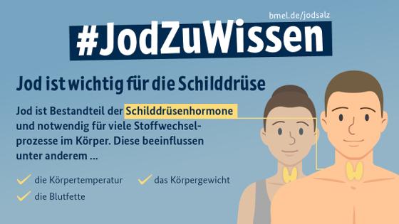 Grafik mit Text: Jod ist Bestandteil der Schilddrüsenhormone und notwendig für viele Stoffwechselprozesse im Körper. Die beeinflussen unter anderem: Körpertemperatur, Körpergewicht, Blutfett...