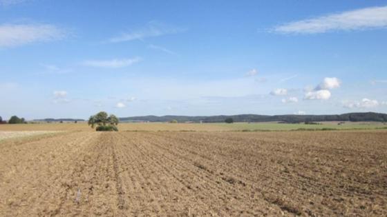 Landschaft mit Acker