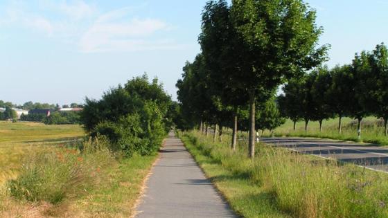 Verringerung der Erodierbarkeit der Landschaft durch landschaftsplanerische Maßnahmen