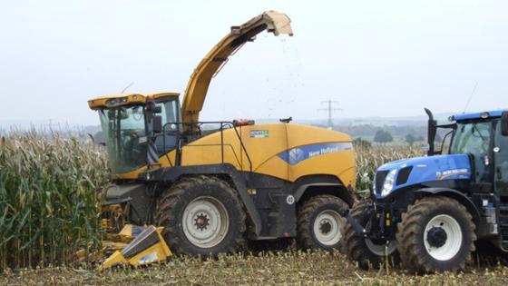 Feld bei der Maisernte