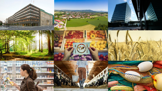 Collage mit 9 Bildern, 7 zu den Themen des Hauses, ländliche Räume, Wald, Ernährung, Ackerbau, Welternährung, Fischerzei und Tierhaltung, dazu je ein Bild des Dienstsitzes des Bundesminiseriums in Bonn und Berlin