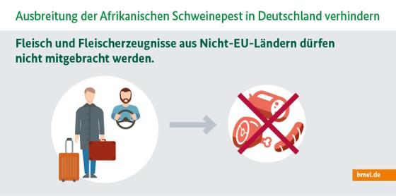 Infografik zur Afrikanischen Schweinepest