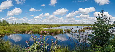  Blick über das Himmelmoor auf eine wiederbewässerte ehemalige Torf-Abbaufläche in Quickborn, Schleswig-Holstein.