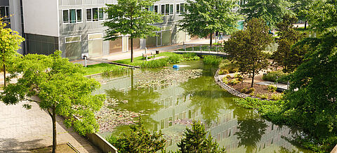 Park mit Teich und Bäumen in Hamburg.