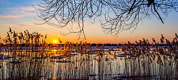 Treibeis auf der Elbe im Sonnenuntergang