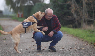 Meet the four-footed soul mates supporting competitors in Invictus Games.