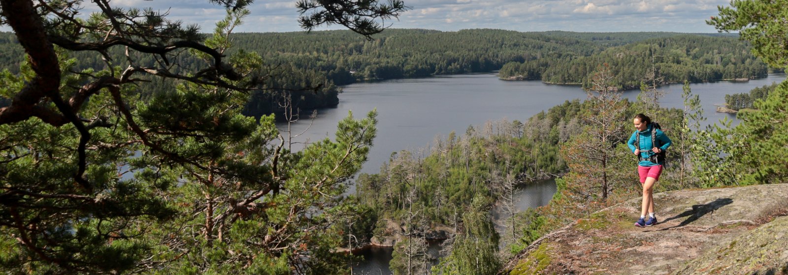 Vandra i Kolmården