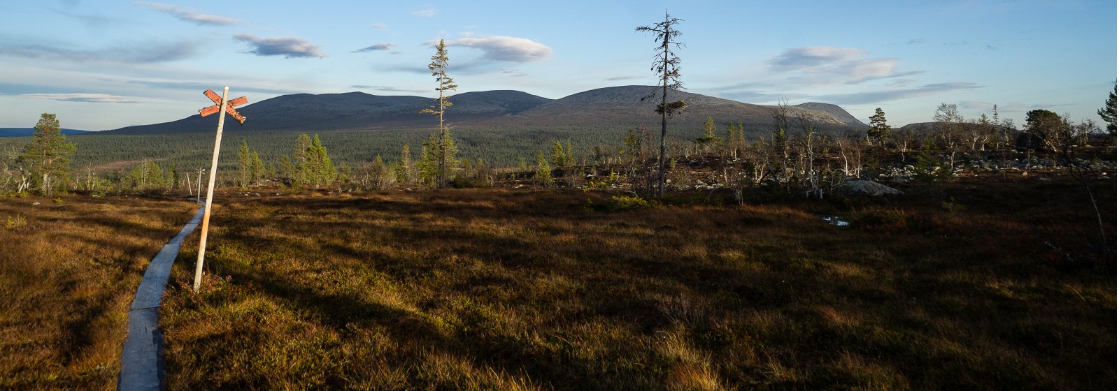 Vandra i Vemdalsfjällen