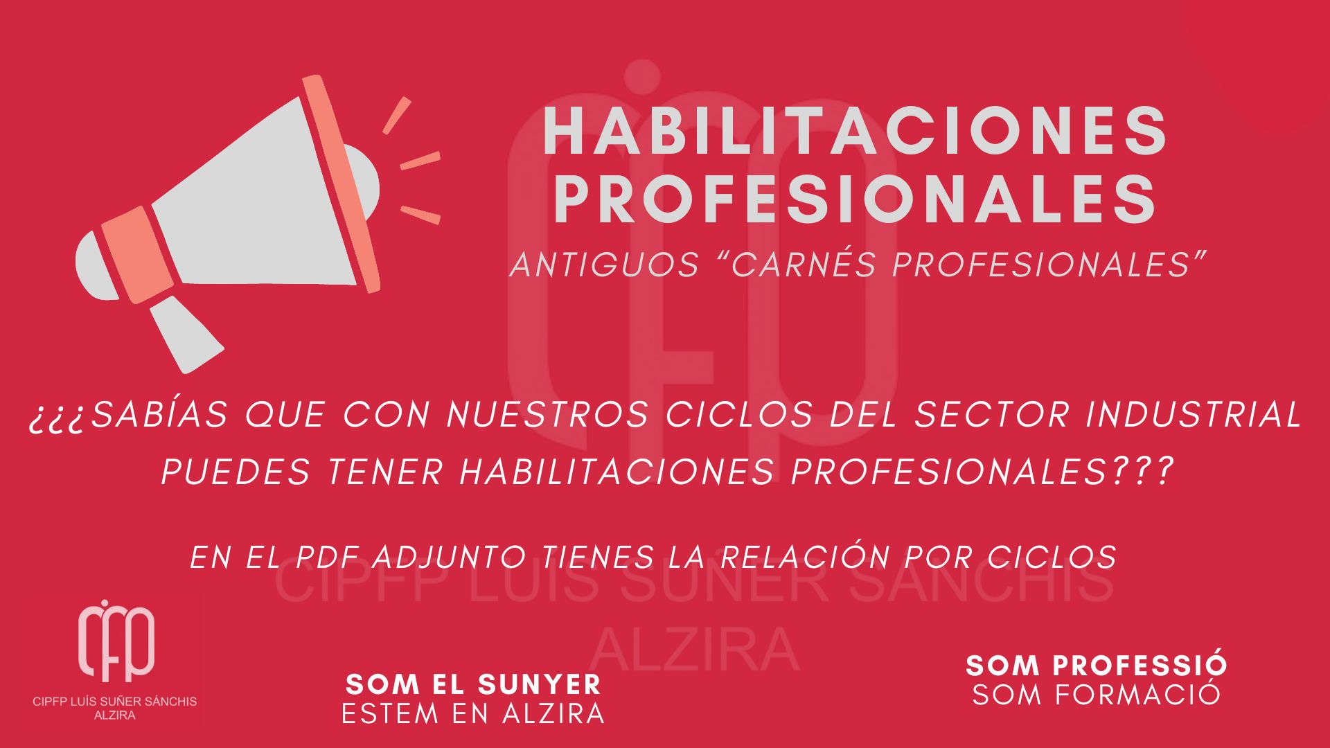 habilitaciones profesionales