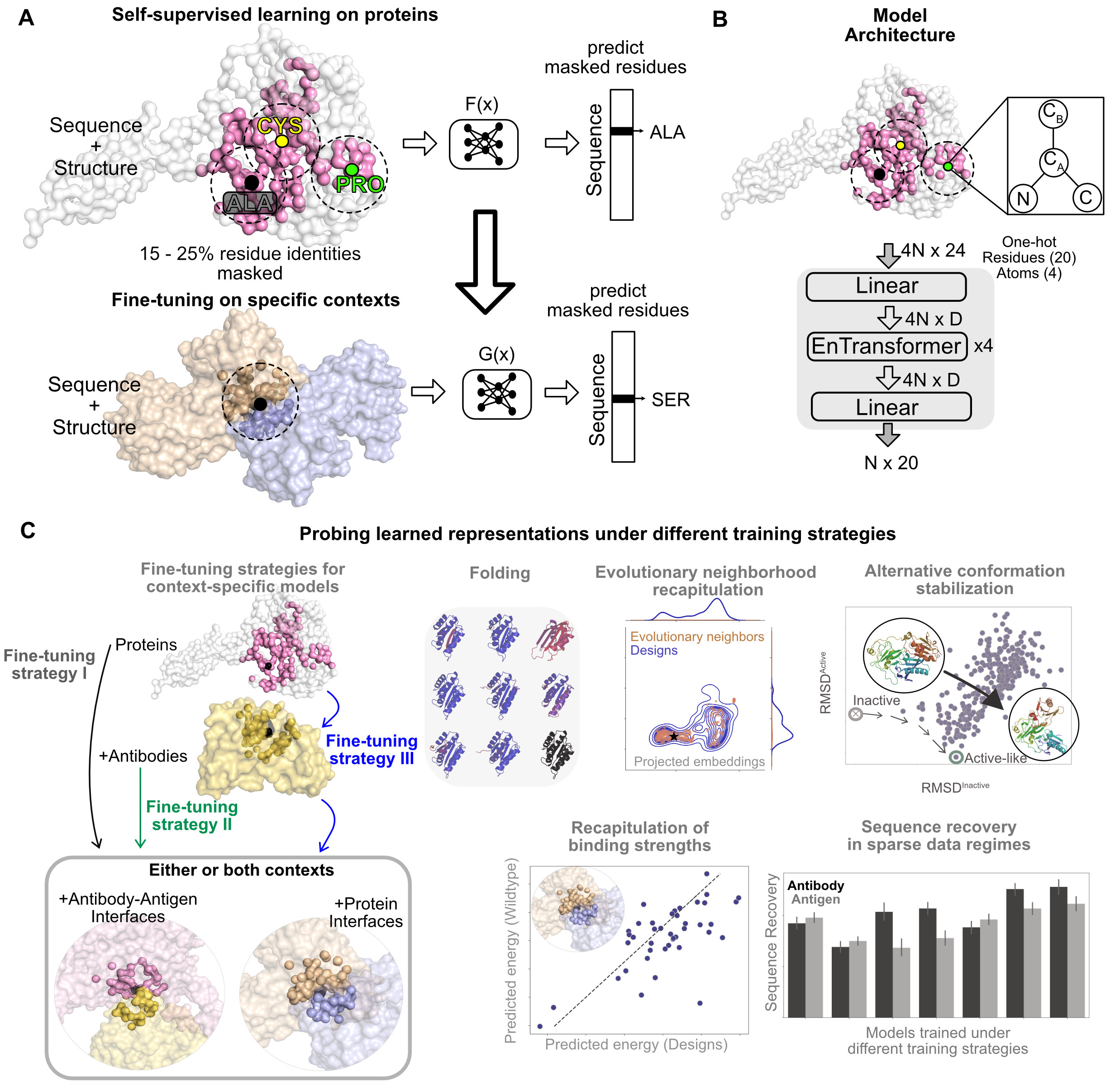 Self-supervised learning to transduce sequence labels for masked residues from those for unmasked residues by context matching on proteins.image 