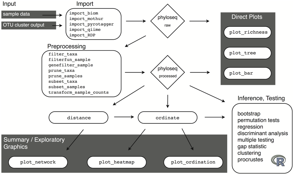 Analysis workflow