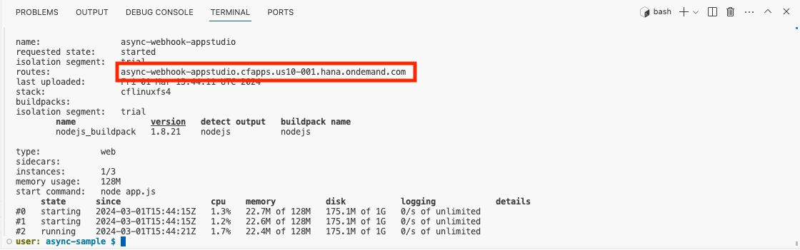 CF Push Log output