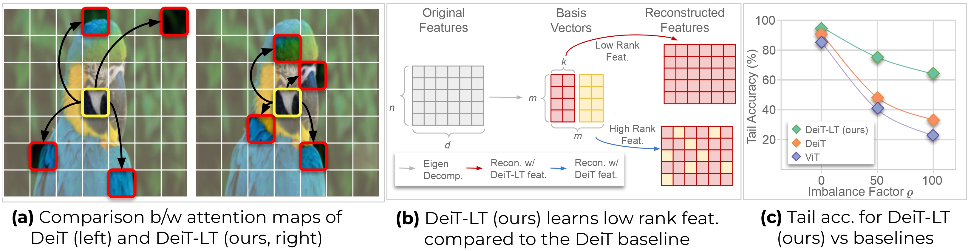 DeiT-LT Teaser