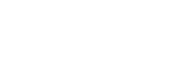 Swindon Borough Council