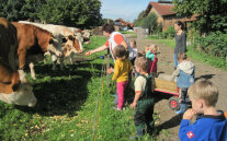 Der Bauernhofkindergarten schafft Kontakt zu Lebensmittel, Natur und Tieren