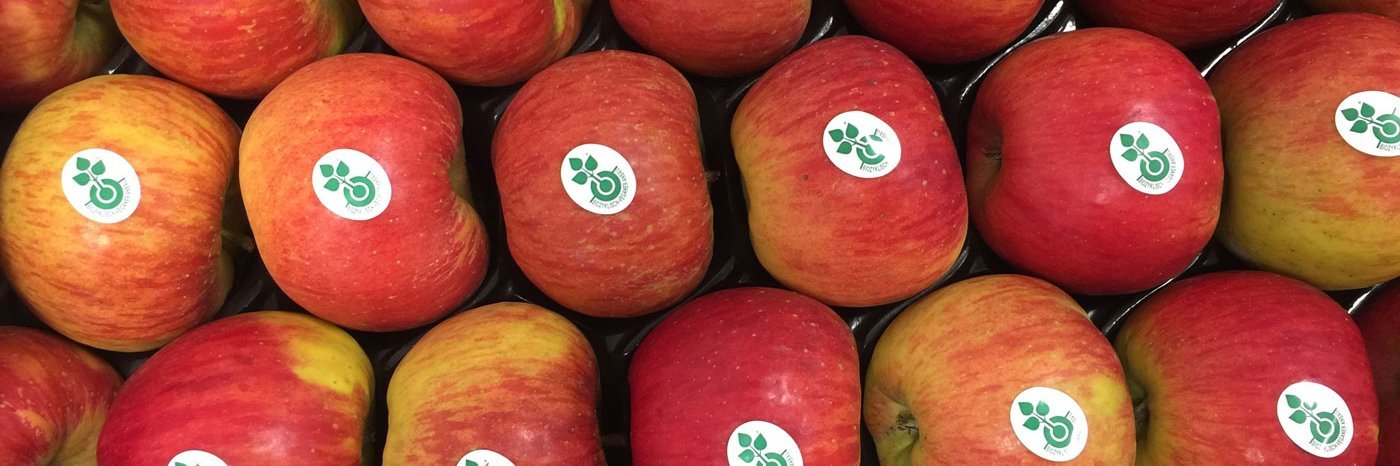 Äpfel mit Stickern des biozyklisch-veganen Anbaus.