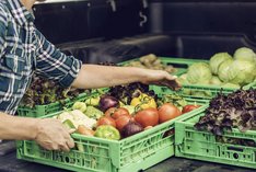 Ernährungsräte: Mitbestimmen und -gestalten!