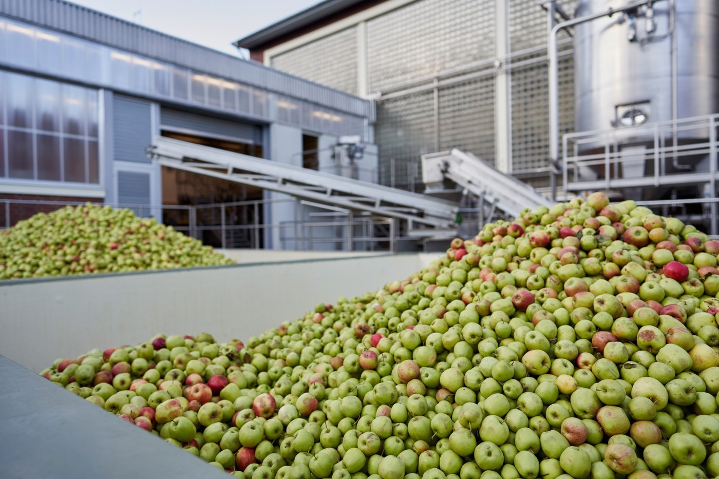 Zwei große Haufen Äpfel vor der Fruchtsaftkelterei. Quelle: Haus Rabenhorst