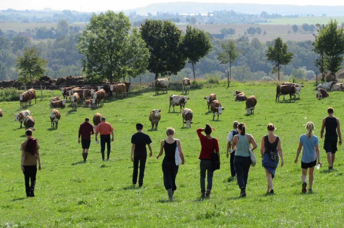 Menschen auf der Weide. Foto: Birke Soukup