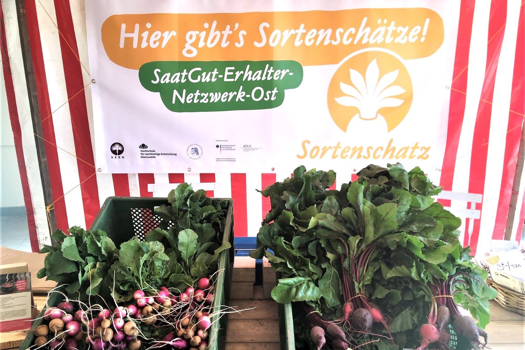 Körbe mit Gemüse an einem Verkaufsstand.