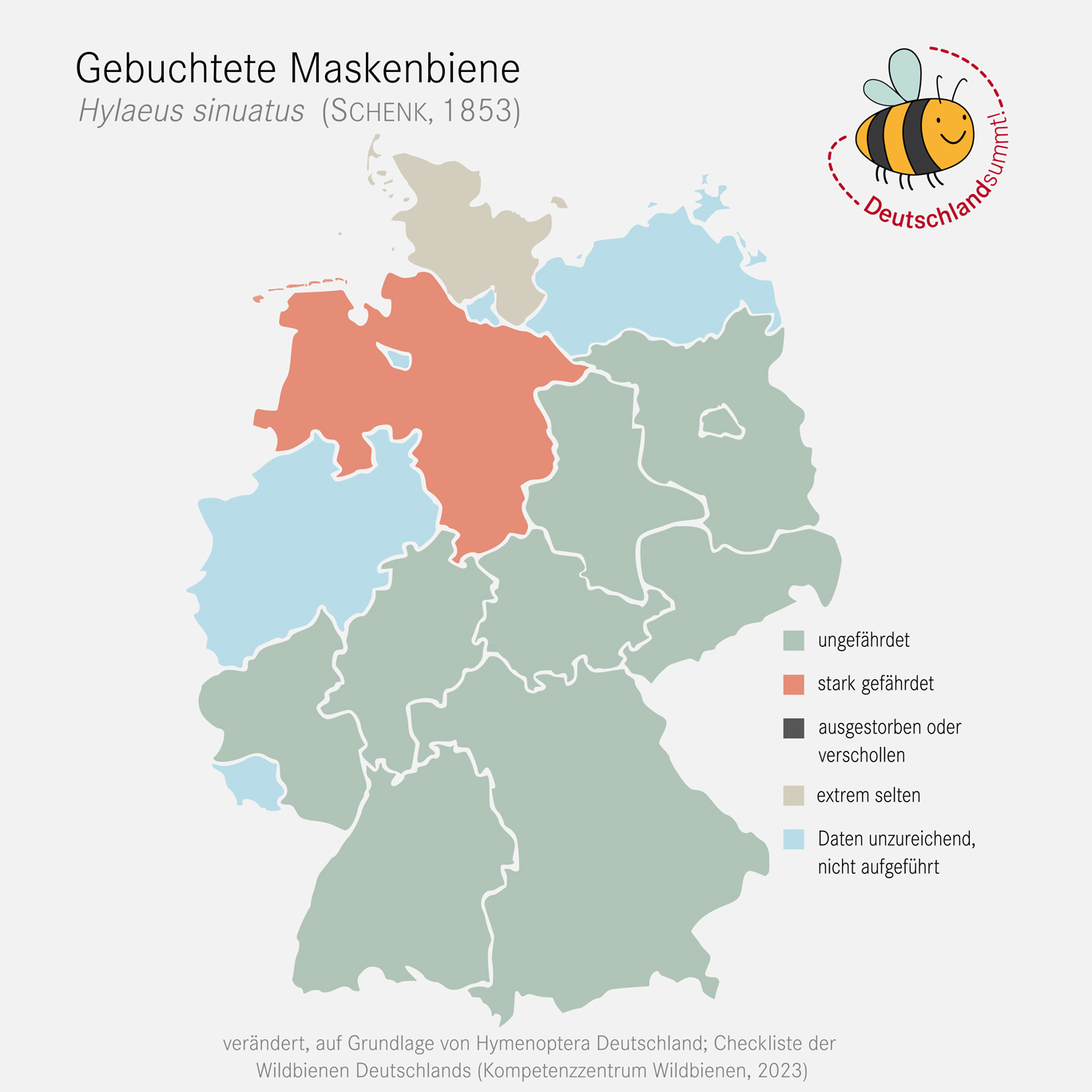 Grafik der Verbreitungskarte der Gebuchteten Maskenbiene. Klick führt zu Großansicht in einer Lightbox. Zum Schließen der Lightbox ESC drücken.