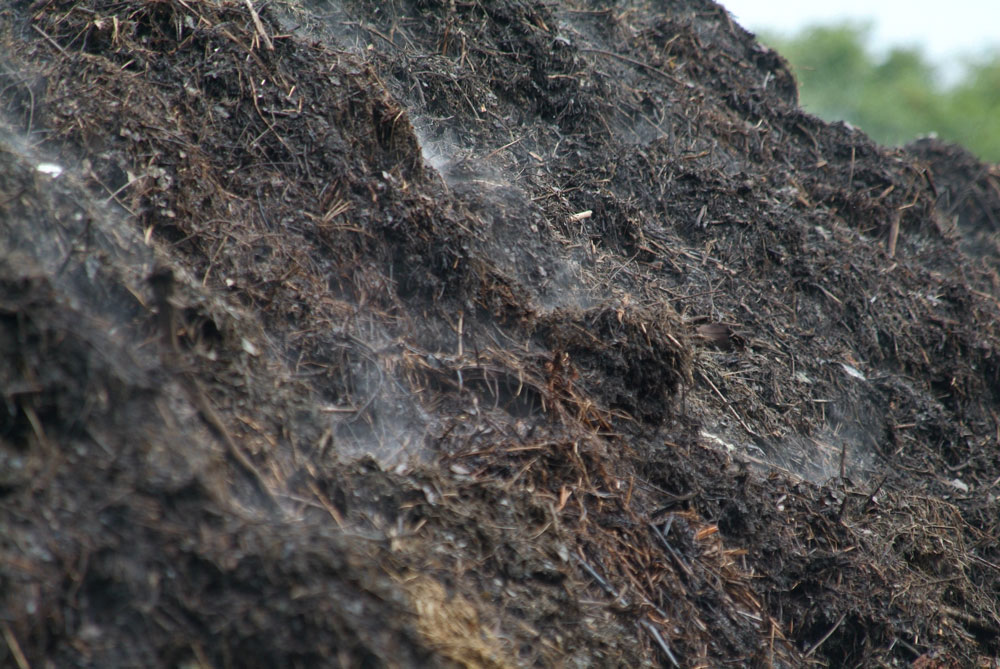 Dampfender Komposthaufen. Foto: VHE 