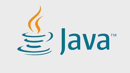 Presentación de Java SE 16