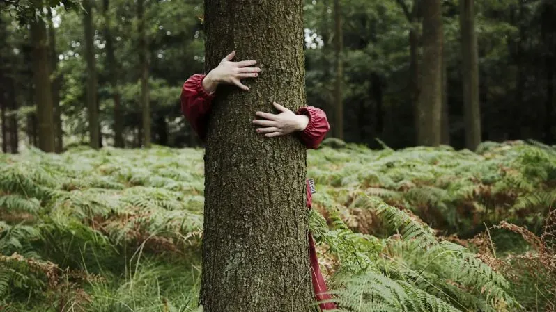 main d'enfants qui enserrent un arbre