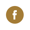 facebook social icon