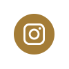 instagram social icon