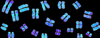 Human chromosomes under a microscope