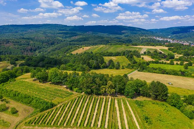 Renaturierung - Landschaft (verweist auf: Renaturierung: Biodiversität stärken, Flächen zukunftsfähig bewirtschaften)