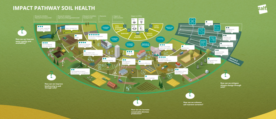 Impact Pathways