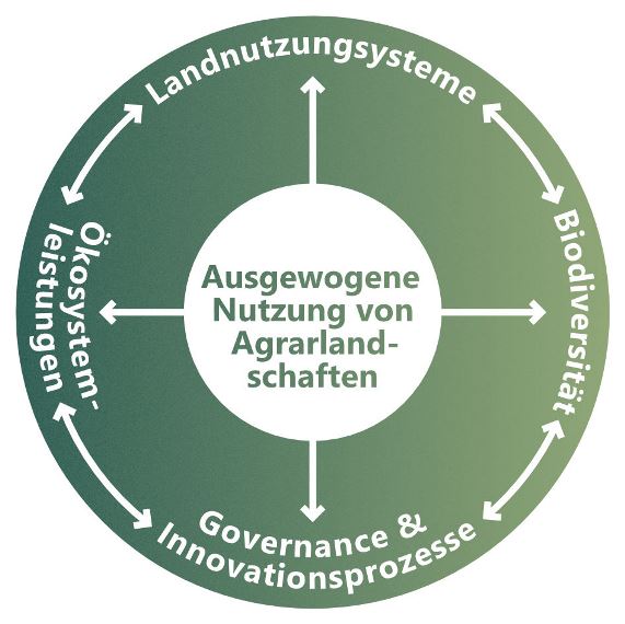 Arbeitsgruppen im Programmbereich 2