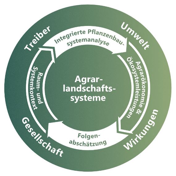 Arbeitsgruppen im Programmbereich 3