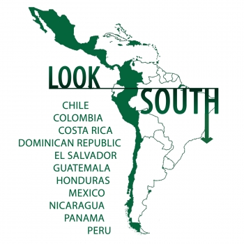 Look South logo