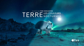 Terre : les couleurs nocturnes