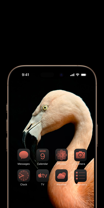 Layar iPhone 16 dengan foto profil samping dinamis bergambar flamingo pink dan widget berwarna pink yang serasi.