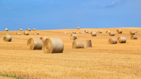 Ein Feld mit Heuballen